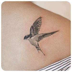 фото тату ласточка от 18.11.2017 №015 - tattoo swallow - tattoo-photo.ru