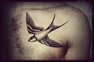 фото тату ласточка от 18.11.2017 №050 - tattoo swallow - tattoo-photo.ru