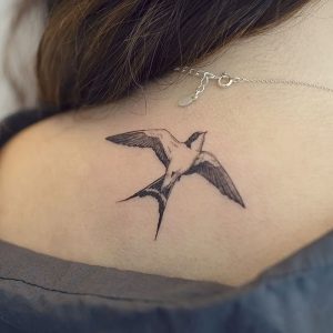 фото тату ласточка от 18.11.2017 №055 - tattoo swallow - tattoo-photo.ru