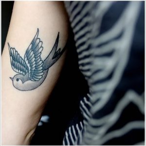 фото тату ласточка от 18.11.2017 №094 - tattoo swallow - tattoo-photo.ru