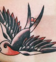 фото тату ласточка от 18.11.2017 №100 — tattoo swallow — tattoo-photo.ru