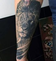 фото тату лев от 18.11.2017 №001 — tattoo lion — tattoo-photo.ru