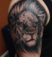 фото тату лев от 18.11.2017 №011 — tattoo lion — tattoo-photo.ru