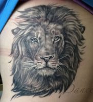 фото тату лев от 18.11.2017 №017 — tattoo lion — tattoo-photo.ru