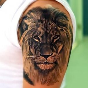 фото тату лев от 18.11.2017 №036 - tattoo lion - tattoo-photo.ru