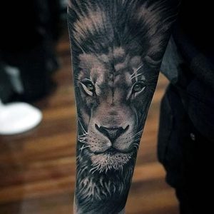 фото тату лев от 18.11.2017 №088 - tattoo lion - tattoo-photo.ru