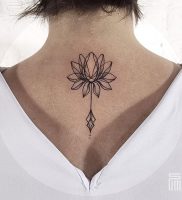 фото тату лотос от 19.11.2017 №005 — lotus tattoo — tattoo-photo.ru