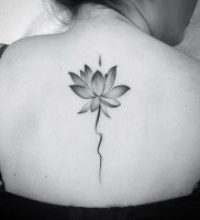 фото тату лотос от 19.11.2017 №010 — lotus tattoo — tattoo-photo.ru