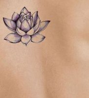 фото тату лотос от 19.11.2017 №017 — lotus tattoo — tattoo-photo.ru