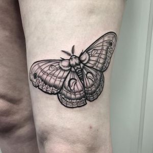 фото тату мотылек от 17.11.2017 №045 - moth tattoos - tattoo-photo.ru