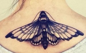 фото тату мотылек от 17.11.2017 №052 - moth tattoos - tattoo-photo.ru