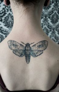 фото тату мотылек от 17.11.2017 №083 - moth tattoos - tattoo-photo.ru