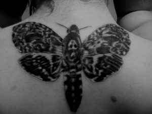 фото тату мотылек от 17.11.2017 №089 - moth tattoos - tattoo-photo.ru