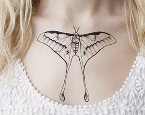 фото тату мотылек от 17.11.2017 №113 - moth tattoos - tattoo-photo.ru