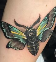 фото тату мотылек от 17.11.2017 №114 — moth tattoos — tattoo-photo.ru