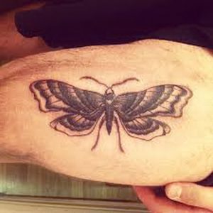 фото тату мотылек от 17.11.2017 №116 - moth tattoos - tattoo-photo.ru