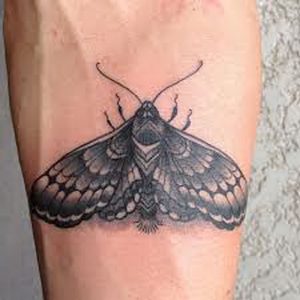 фото тату мотылек от 17.11.2017 №122 - moth tattoos - tattoo-photo.ru
