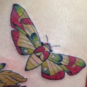 фото тату мотылек от 17.11.2017 №124 - moth tattoos - tattoo-photo.ru