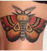 фото тату мотылек от 17.11.2017 №128 — moth tattoos — tattoo-photo.ru