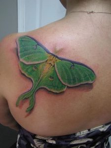 фото тату мотылек от 17.11.2017 №137 - moth tattoos - tattoo-photo.ru