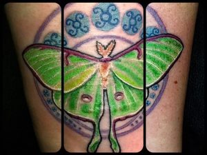 фото тату мотылек от 17.11.2017 №139 - moth tattoos - tattoo-photo.ru