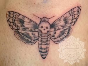 фото тату мотылек от 17.11.2017 №146 - moth tattoos - tattoo-photo.ru