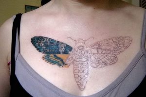 фото тату мотылек от 17.11.2017 №154 - moth tattoos - tattoo-photo.ru