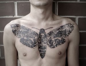 фото тату мотылек от 17.11.2017 №162 - moth tattoos - tattoo-photo.ru