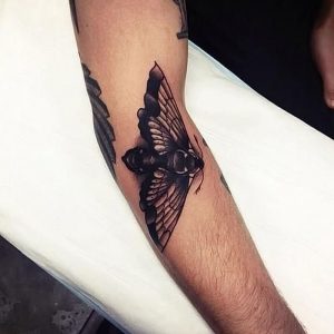 фото тату мотылек от 17.11.2017 №167 - moth tattoos - tattoo-photo.ru