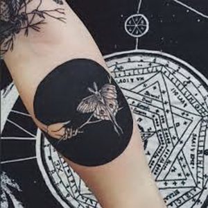 фото тату мотылек от 17.11.2017 №169 - moth tattoos - tattoo-photo.ru