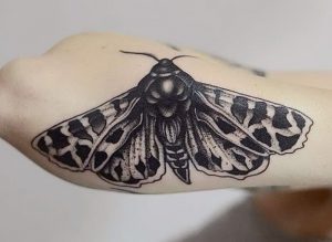 фото тату мотылек от 17.11.2017 №170 - moth tattoos - tattoo-photo.ru