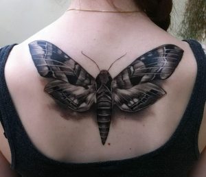 фото тату мотылек от 17.11.2017 №171 - moth tattoos - tattoo-photo.ru