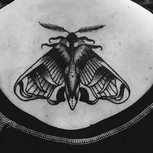 фото тату мотылек от 17.11.2017 №172 - moth tattoos - tattoo-photo.ru