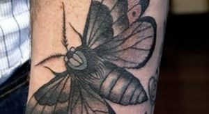 фото тату мотылек от 17.11.2017 №189 - moth tattoos - tattoo-photo.ru