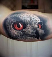 фото тату с животными от 14.11.2017 №002 — animal tattoos — tattoo-photo.ru