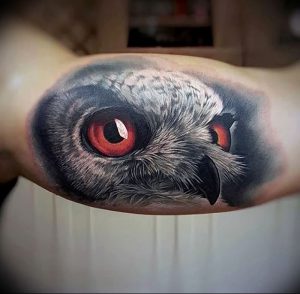 фото тату с животными от 14.11.2017 №002 - animal tattoos - tattoo-photo.ru