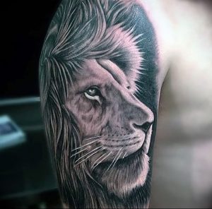 фото тату с животными от 14.11.2017 №034 - animal tattoos - tattoo-photo.ru