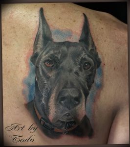 фото тату с животными от 14.11.2017 №043 - animal tattoos - tattoo-photo.ru
