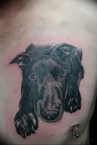 фото тату с животными от 14.11.2017 №055 - animal tattoos - tattoo-photo.ru