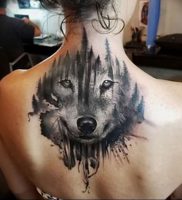 фото тату с животными от 14.11.2017 №064 — animal tattoos — tattoo-photo.ru