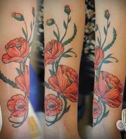 фото тату цветок Мак от 17.11.2017 №002 — tattoo flower mack — tattoo-photo.ru