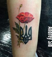 фото тату цветок Мак от 17.11.2017 №005 — tattoo flower mack — tattoo-photo.ru
