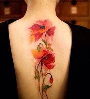 фото тату цветок Мак от 17.11.2017 №010 — tattoo flower mack — tattoo-photo.ru