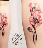 фото тату цветок Мак от 17.11.2017 №011 — tattoo flower mack — tattoo-photo.ru