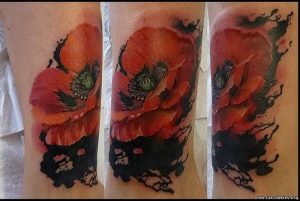 фото тату цветок Мак от 17.11.2017 №029 - tattoo flower mack - tattoo-photo.ru