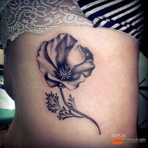 фото тату цветок Мак от 17.11.2017 №062 - tattoo flower mack - tattoo-photo.ru