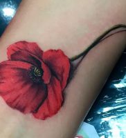 фото тату цветок Мак от 17.11.2017 №090 — tattoo flower mack — tattoo-photo.ru