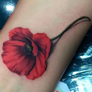 фото тату цветок Мак от 17.11.2017 №090 - tattoo flower mack - tattoo-photo.ru