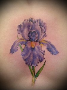 интересный вариант тату ирис на фото для статьи про значение - tatufoto.ru - 17
