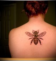 фото тату пчела для статьи про значение татуировки пчела — 11